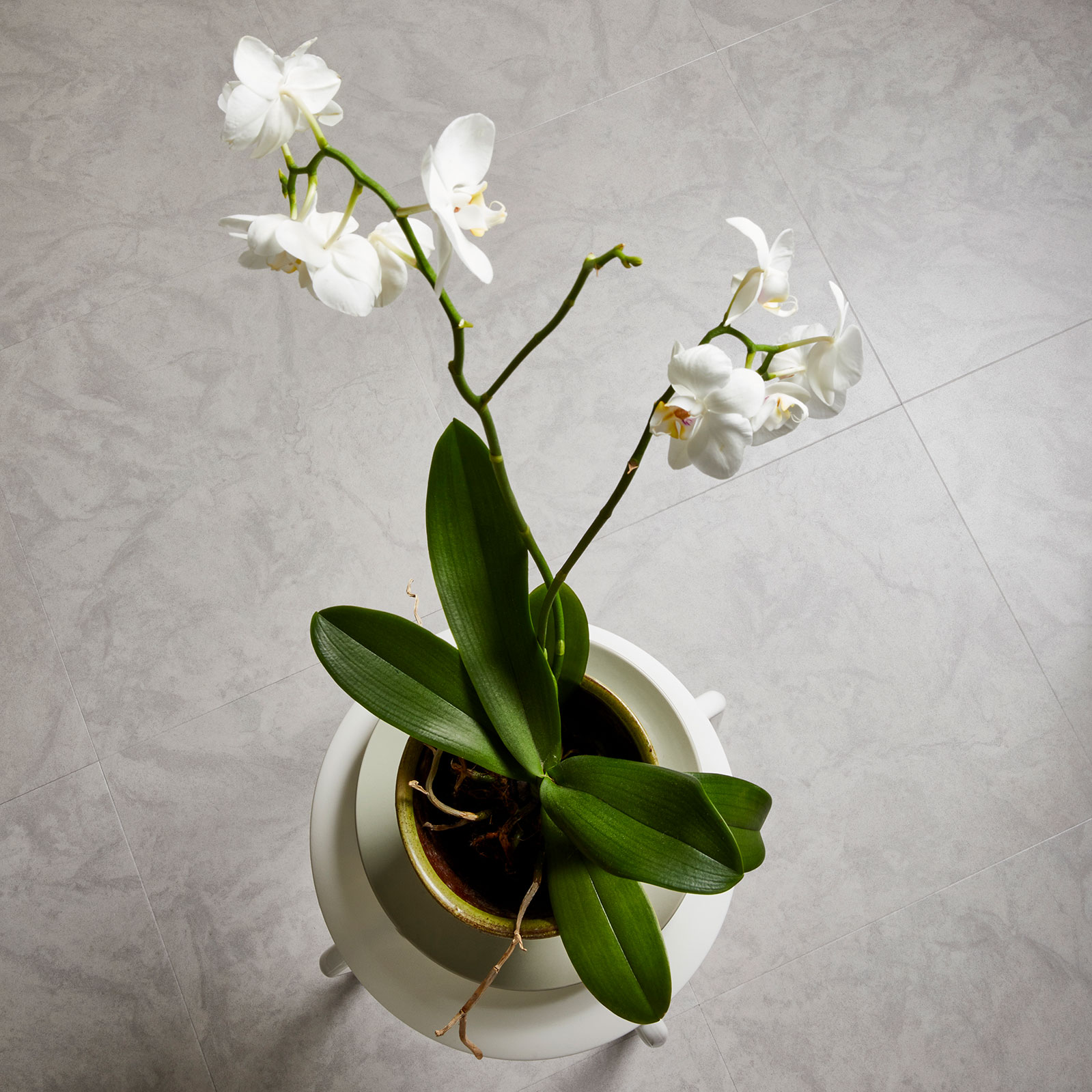 Ceramic Light: Beautifully designed LVT flooring from the Amtico